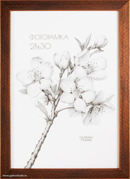 Фоторамка 21x30 / KS1912-1 /уп 10/
