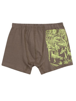 Трусы боксеры для мальчика Donella