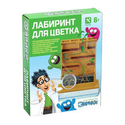 Набор для опытов Лабиринт для цветка