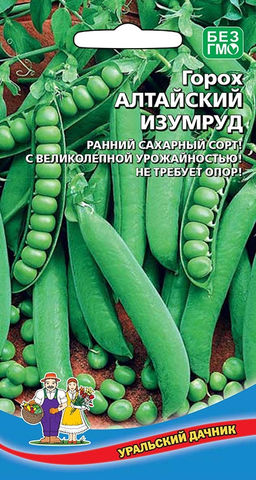 Горох АЛТАЙСКИЙ ИЗУМРУД  Раннеспелый сахарный сорт с великолепной урожайностью! Не требует опор! Проверенный сорт!