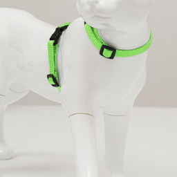 Комплект для кошек, ширина 1 см, ОШ 16,5-27 см, ОГ 21-35 см, поводок 120 см, зелёный - Пижон фото 2