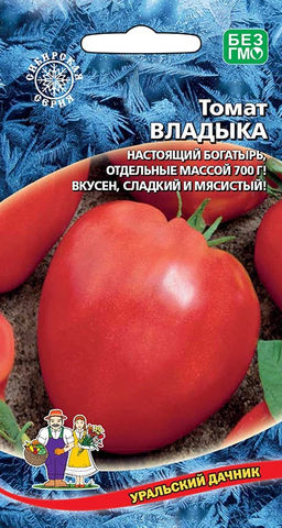 Томат ВЛАДЫКА  Сибирская селекция! Куст усыпан плодами-богатырями по 500-700 г каждый! Вкус потрясающий: для салатов, вкуснейших соков и томатных паст!