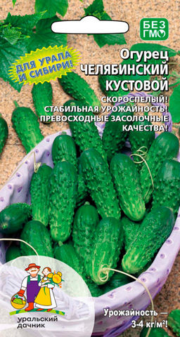 Огурец ЧЕЛЯБИНСКИЙ КУСТОВОЙ Раннеспелый! Ураганная урожайность! Превосходные засолочные качества!