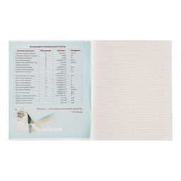 Тетрадь предметная MonoTone 36 листов в клетку Физика, со справочным материалом, обложка мелованая бумага, блок № 2, белизна 75% (серые листы) - Calligrata фото 2