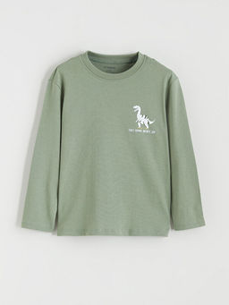 Dinozor Bask?l? Erkek ?ocuk Ti??rt