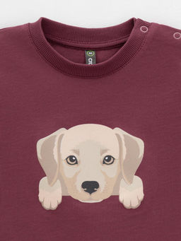 КР 302907/коричневый 1614 к630 фуфайка (футболка) д/мал яс