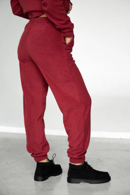 Джоггеры БР 388о-12 Винный - T.C.T фото 5