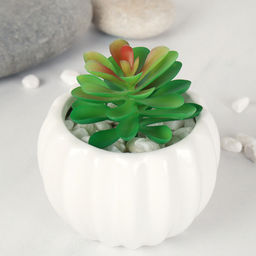 Суккулент искусственный 6,5х9 см / GN107 /уп 100/ - ГалеонТрейд фото 3