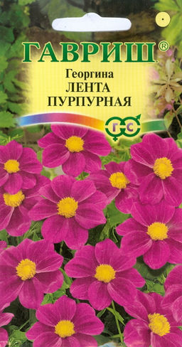 Георгина Лента пурпурная 0,2гр (г)