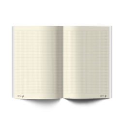 Светоч Бизнес-блокнот, мат. лам. + тис. золотой фольгой, тониров. блок ББ97 евроформат 64 л. 24 шт. французская клетка Твоё время 01157