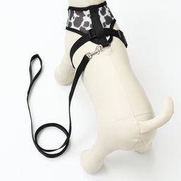 Комплект для собак 5-8 кг, размер M, поводок 120 х 1,5 см, ОШ 30 см, ОГ 39 см - Пижон фото 3