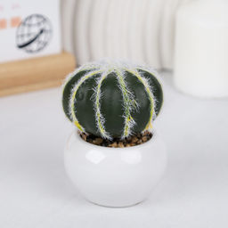 Цветочная композиция Кактус / WER-10 /уп 12/192/ микс