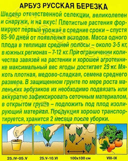 Арбуз Русская березка 1г (Аэлита)