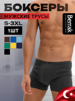 Мужские трусы Berrak 4488