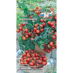 Томат Балконное Чудо 0,1г (СеДеК)