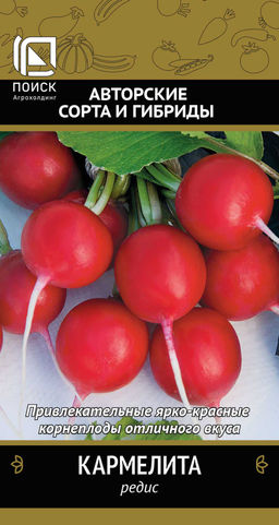 Редис Кармелита(А) (ЦВ) 3гр. - Поиск фото 2