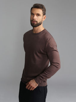 Джемпер мужской GREG G121-EV (какао)  фото 4