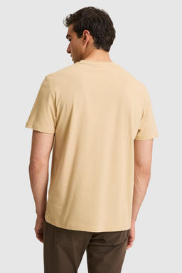 Erkek Regular Fit Bisiklet Yaka Bej Basic Ti__rt