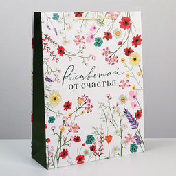Цена за 2 шт. Пакет подарочный ламинированный, упаковка, Расцветай от счастья, L 28?38?9 см