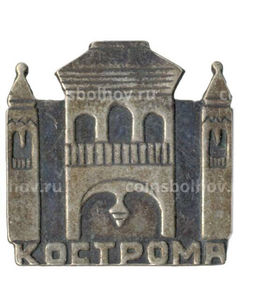 Значок Кострома