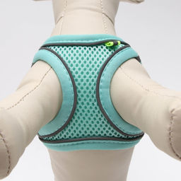 Комплект с мягкой шлейкой, быстросъемный, XS, поводок 150 х 1,5 см, ОШ 29-32 см, ОГ 31-34 см, бирюз - Пижон фото 5