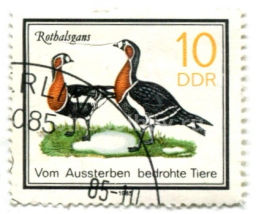 Марка Ротбалсганы 1985 год Германия