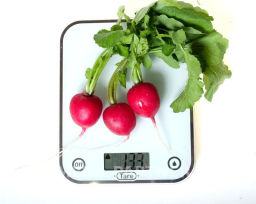 Редис Царевна - Партнер фото 5