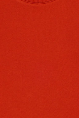 U. S. Polo Assn / Базовый свитшот с круглым вырезом Kids Tile - U.s. polo assn фото 3