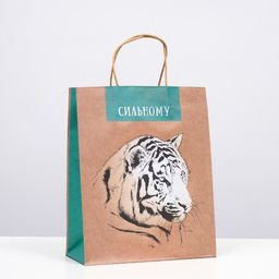 Пакет подарочный Сильному 26 х 32 х 12 см