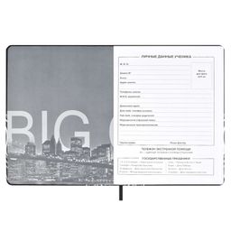 Дневник школьный арт. 59019 / 15 ДЕВУШКА В ОЧКАХ - Феникс+ фото 9