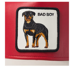 Бейсболка GOORIN BROTHERS арт. 101-1829 (красный / кремовый) фото 4