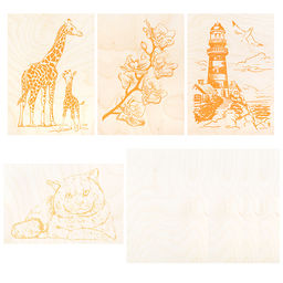 Электроприбор для выжигания по дереву "Узор-10к" (аппарат, 8 досок)