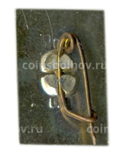 Значок Бахчисарай