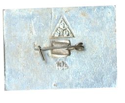 Значок Владимир