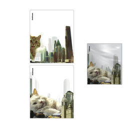 Цена за 1 шт. Набор пластиковых обложек ErichKrause Big City Cats, для тетрадей и дневников, 212х347мм, 80 мкм, ассорти (пакет 12 шт.)