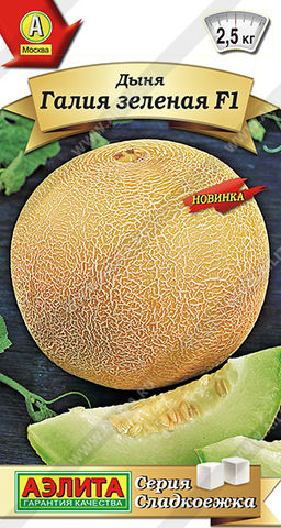Дыня Галия зеленая F1