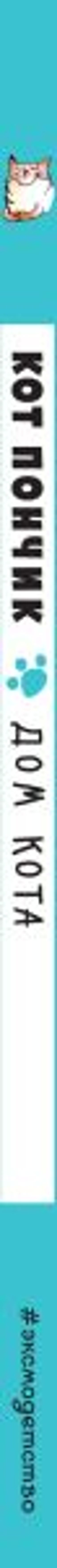 Кот Пончик. Дом кота