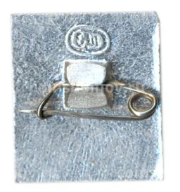 Значок Шушенское