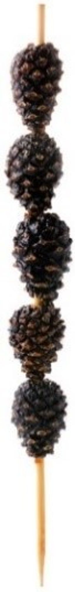 Цукаты Сосновая шишка на шпажке 25г - Территория тайги фото 3