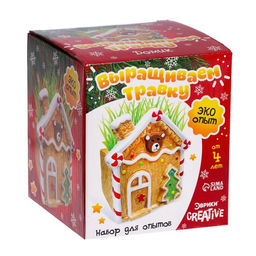 Набор для опытов Выращиваем травку, домик - Эврики фото 16