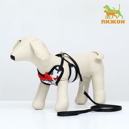 Комплект с мягкой шлейкой и бантиком Морской, размер S, поводок 120 x 1,5 см, ОГ 23-42 см 968377