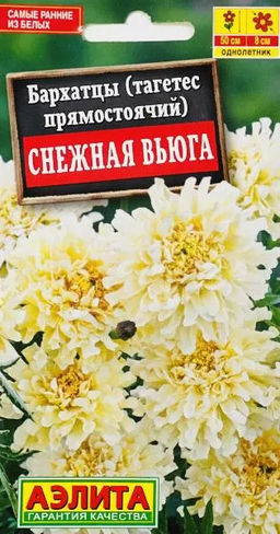 Бархатцы Снежная вьюга 7шт. (Аэлита)