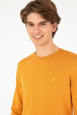 Мужской горчичный базовый свитер - U.s. polo assn фото 2