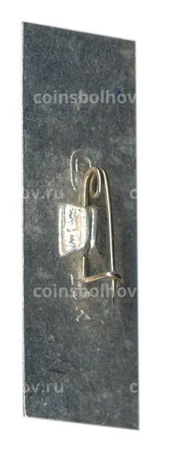 Значок Бородино 1812