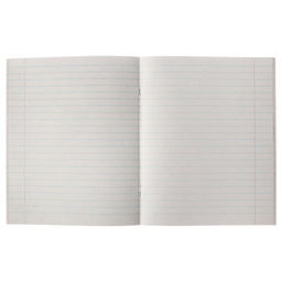 Комплект тетрадей из 5 штук, 48 листов в линию Calligrata "Графика-2", обложка мелованный картон, блок №2, белизна 75% (серые листы)