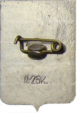 Значок Боровичи