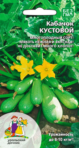Кабачок КУСТОВОЙ  Многоплодный сорт! Мякоть нежная и вкусная! Не доставит много хлопот!