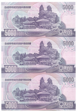 Банкнота 5000 вон 2006 года Северная Корея  Лист из трех банкнот