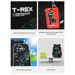 RAw-595-1 Рюкзак школьный