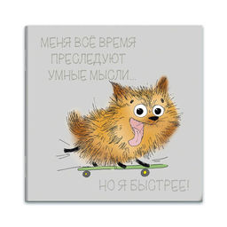 31da119636e71da05788db9966021c4f894u40yolpdzz49y